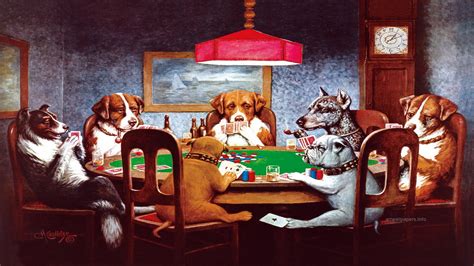 cachorros jogando poker